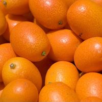 Kumquats