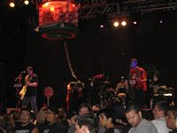 Assorted Jelly Beans