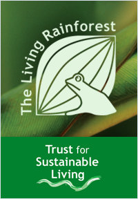 The Living Rainforest