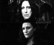 Snape and Lily : The Love That Protected Harry