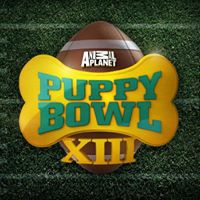 Puppy Bowl