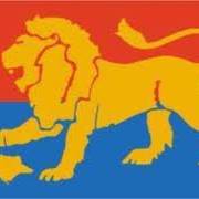 Brisbane Lions "Hear Us Roar" Fan Page