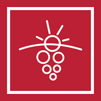 Washington State Wine