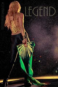 Shakiras Hips Don&#39;t Lie!