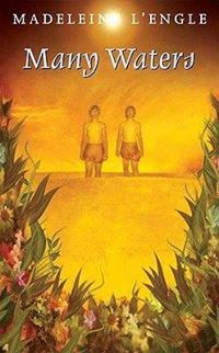 Many Waters (Madeleine L'engle)