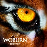 Woburn Safari Park