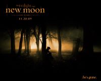 New Moon