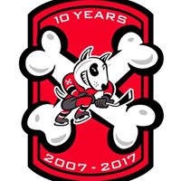 Niagara Icedogs