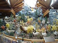 Cabelas
