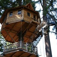 Out'n'about Treehouse Treesort LLC