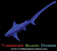 Thresher Shark Divers