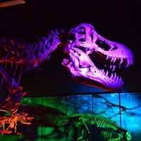 Tellus: Northwest Georgia Science Museum