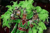 Mardi Gras of Southwest Louisiana