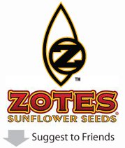 Zotes Sunflower Seeds
