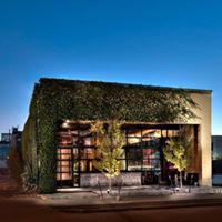 Mongoose Versus Cobra