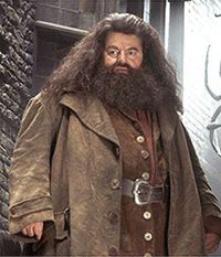 Hagrid, the Type of Guy I'd Have a Butterbeer With