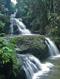 Hawaii Tropical Botanical Garden