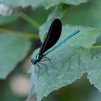 White Clay Creek State Park