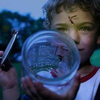 I Remember When I Used to Catch Lightning Bugs... }{