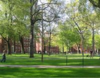 Harvard Yard