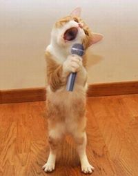 Singing Random Lyrics of Random Songs at Random Times