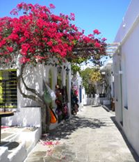 APOLLONIA SIFNOS - ΑΠΟΛΛΩΝΙΑ ΣΙΦΝΟΣ