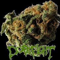 DOPEFIGHT
