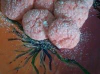 Gooey Butter Cookies