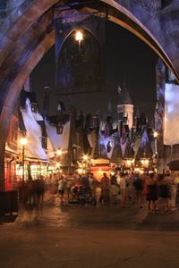 The Wizarding World of Harry Potter