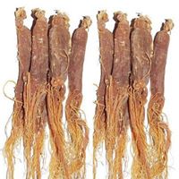 Ginseng Health Store