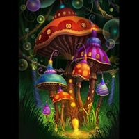 Magic Mushrooms