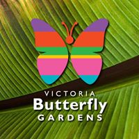 Victoria Butterfly Gardens