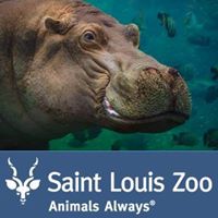 Saint Louis Zoo