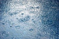 Swimming in the Rain