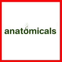 Anatomicals