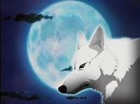 Wolfs Rain