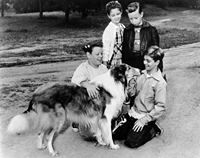 Lassie (1954 TV Series)