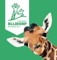 Diergaarde Blijdorp / Rotterdam Zoo