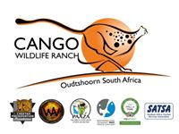 Cango Wildlife Ranch