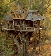 Treehouses