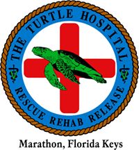 The Turtle Hospital