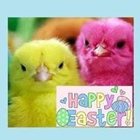 Rescued Pets Make the Best Pets