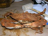 Kent Island, Maryland