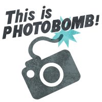 This Is Photobomb
