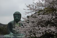 鎌倉大仏殿高徳院 (Kamakura Daibutsu)