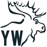 Yellowstone Wildlife