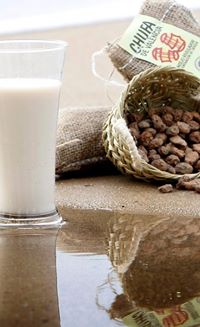 Horchata De Chufa De Valencia