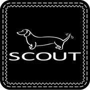 Scout