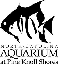 North Carolina Aquarium at Pine Knoll Shores
