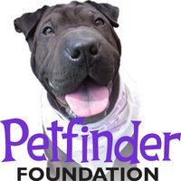 Help Homeless Animals Nationwide With Petfinder.com Foundation